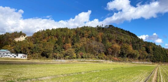 向井羽黒山城(遠景)