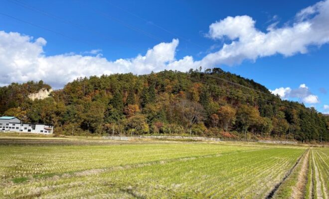 向井羽黒山城(遠景)