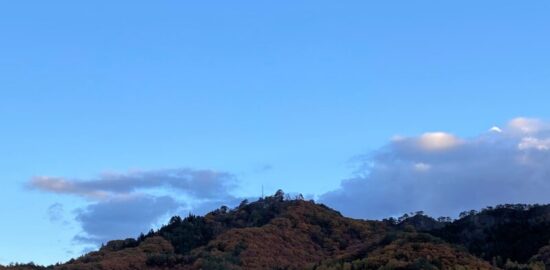 鴫山城(南山城)(長沼城)