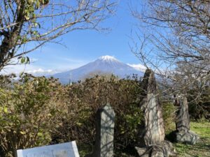 井出屋敷・下馬桜と富士山