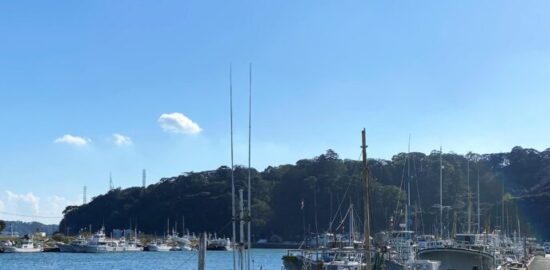 下田城址(下田公園)