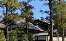 鶴岡八幡宮　境内