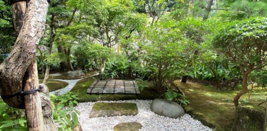 報国寺 プロムナード