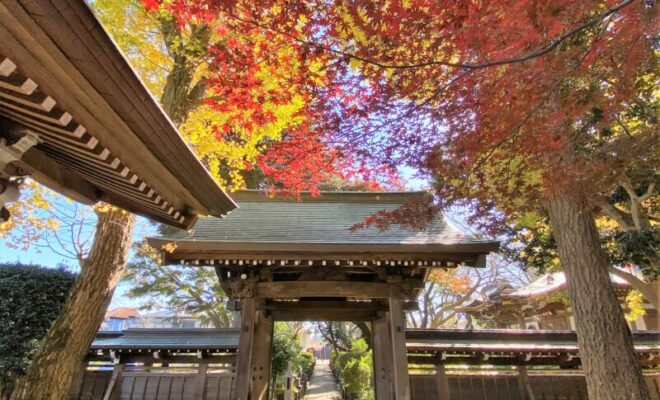 妙楽寺 紅葉