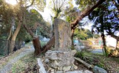 佐原城址（相模）