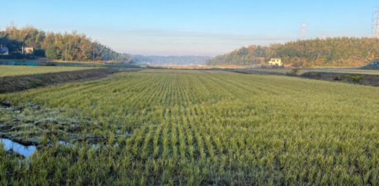 三舟山（三船山）古戦場　千葉県富津市