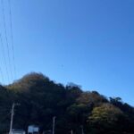 安房勝山城