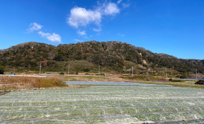 白浜城(安房)
