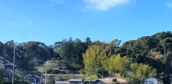 稲村城跡(安房国)