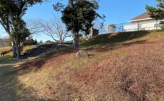 一戦場古戦場（魚見塚一戦場公園）