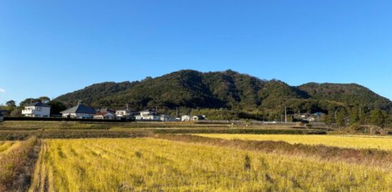鹿野岡城 鴨川富士