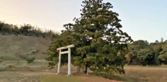 名熊の二本杉(源頼朝伝説)