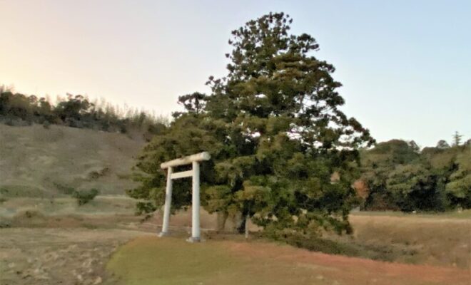 名熊の二本杉（源頼朝伝説）