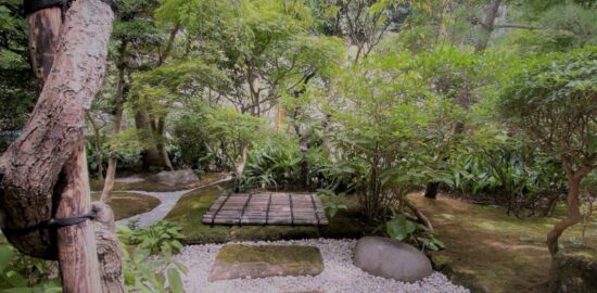鎌倉 井戸