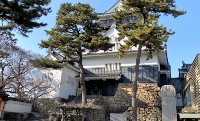 岡崎城 日本１００名城 徳川家康の誕生地の城で岡崎公園は日本さくら名所１００選でもあります 歴史探索