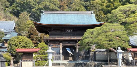 臨済寺 三門