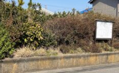 静岡　渋川館付近