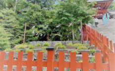 鶴岡八幡宮　大銀杏あと