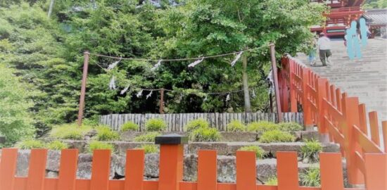 鶴岡八幡宮　大銀杏あと