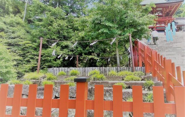 鶴岡八幡宮　大銀杏あと