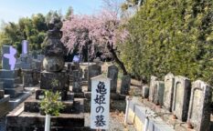 亀姫（徳川家康長女）