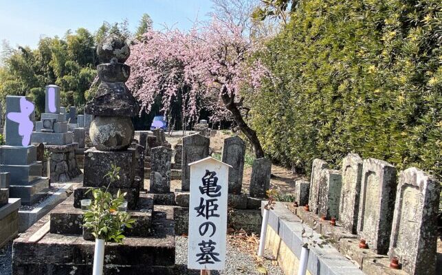 亀姫(徳川家康長女)