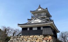 浜松城