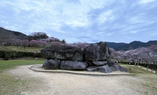石舞台古墳 桜