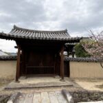 法隆寺　敷地内　門　桜