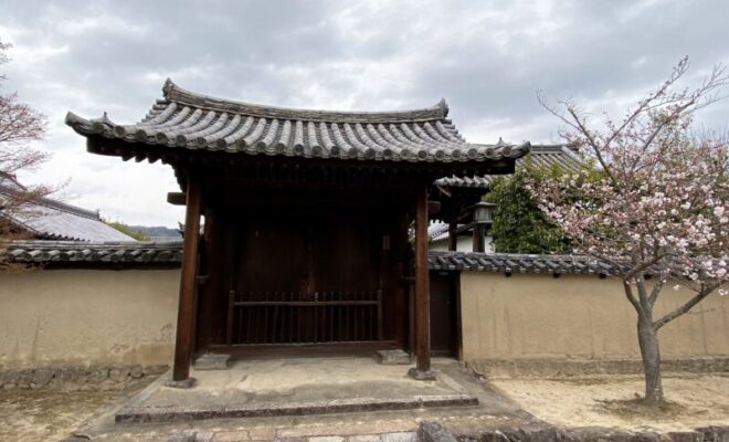 法隆寺 敷地内 門 桜