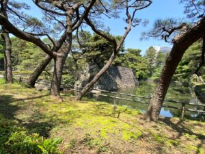 江戸城　二の丸雑木林