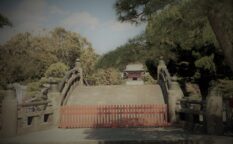 鶴岡八幡宮