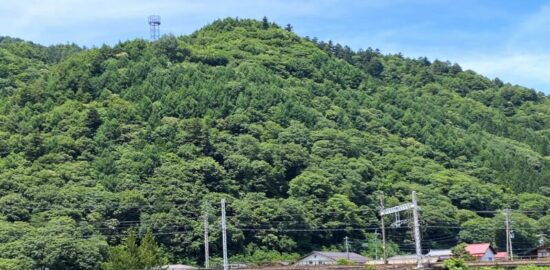 木曽福島城（遠景）