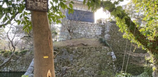 岡崎城