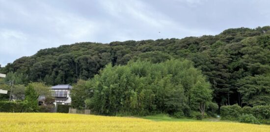 塚原城(常陸国)