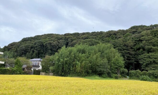 塚原城（常陸国）