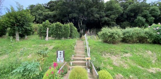 島崎城(南常陸)