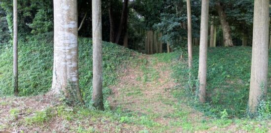 神宮寺城跡(常陸国)