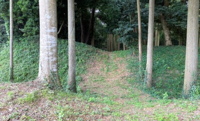 神宮寺城跡(常陸国)