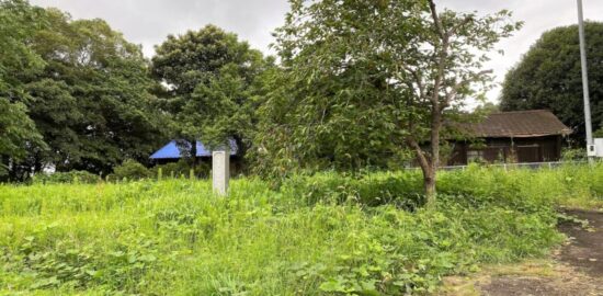 江戸崎城跡（常陸国）