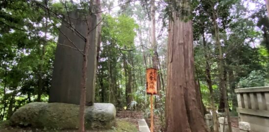 大宝城跡（茨城県）