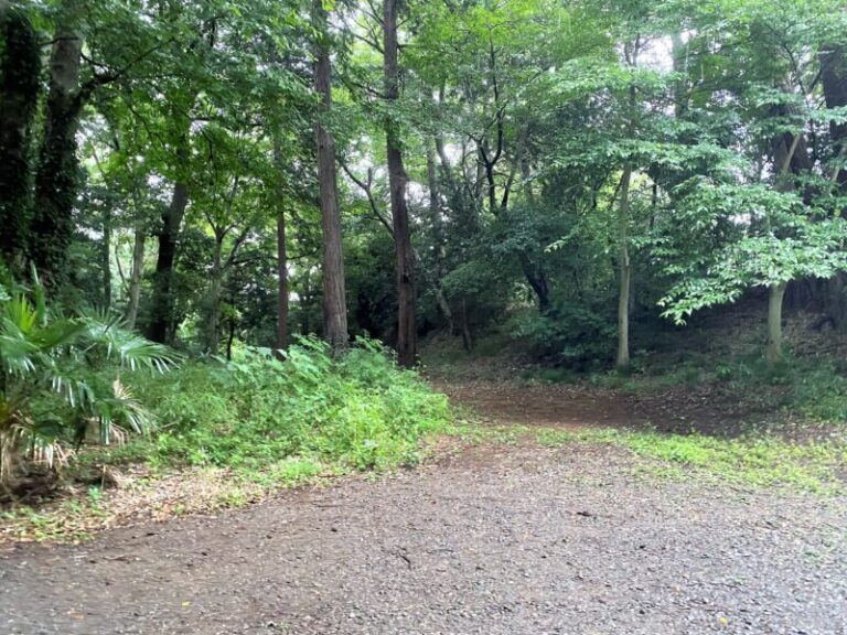 大宝城（茨城県）～関東最古の八幡宮である大宝八幡宮境内にあり下妻氏によって築城された城です。 歴史探索