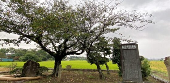 石井の井戸跡（坂東市岩井）
