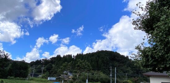 平蔵城（千葉県）