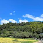 大椎城(上総国)(千葉県)