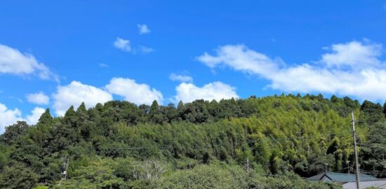 大椎城(上総国)(千葉県)