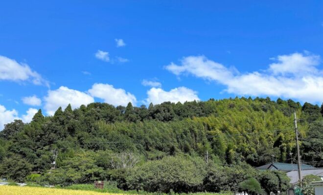 大椎城(上総国)(千葉県)
