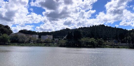 東金城址 八鶴湖畔より