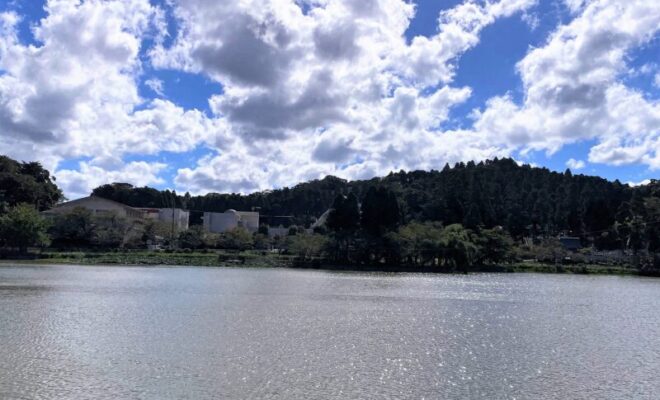 東金城址　八鶴湖畔より