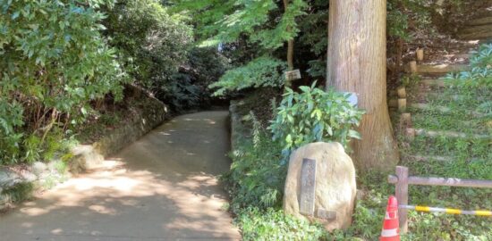 成東城跡(千葉県)